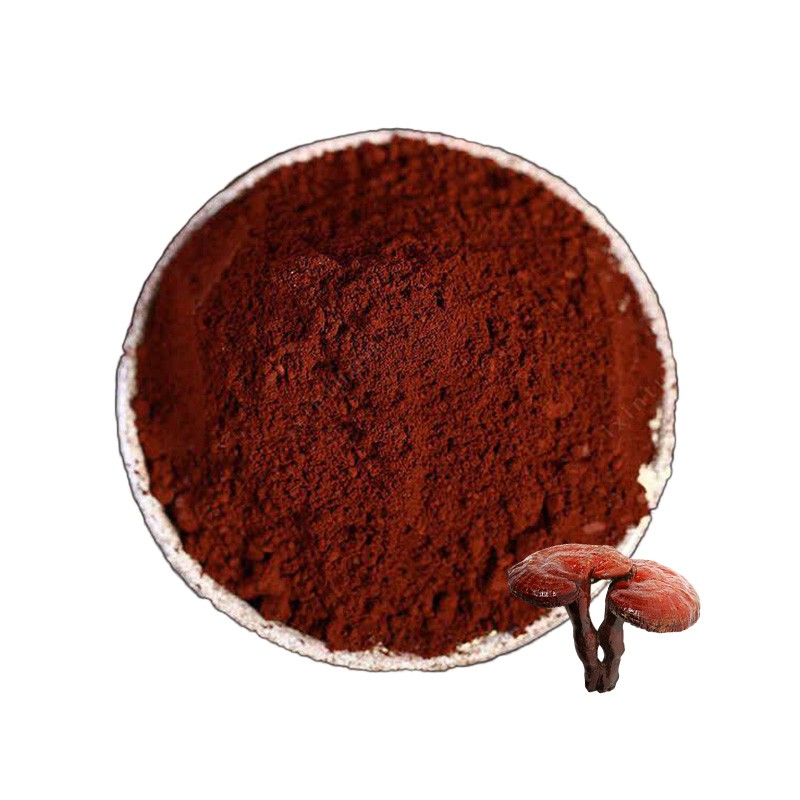 Ganoderma Lucidum Extract Factory - Organic Reishi 40% Polysaccharides
