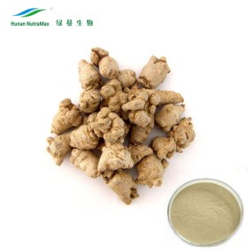 Notoginsenosides Powder Factory - 30%-40% Pseudo-ginseng Extract