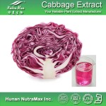 Purple Cabbage Extract Supplier - Natural Pigment Powder 4:1-10:1