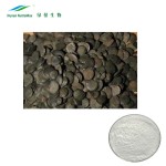 Griffonia Seed Extract Supplier - 100% Natural 5-HTP 98%