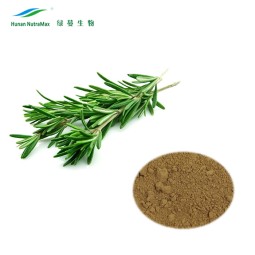 Rosemary Extract Powder Supplier - 5% Carnosic Acid Natural