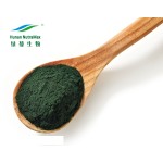 Chlorella Powder Supplier - Vulgaris Food Grade Dietary