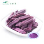 Purple Sweet Potato Powder Manufacturer - Halal Kosher Freeze Dried