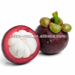 Mangosteen Extract Manufacturer - Mangostin 10%-90% Fruit Powder