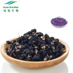 Black Wolfberry Extract Factory - 10% Anthocyanidins Goji Berry