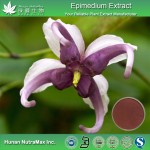 Epimedium Extract Supplier - 60% Icariin Leaf Powder HPLC