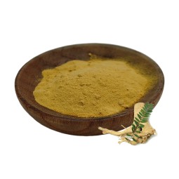 Tongkat Ali Extract Supplier - 20:1 Root Powder Private Label