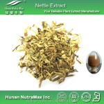 Stinging Nettle Leaf Powder Supplier - 100% Natural Nutrition