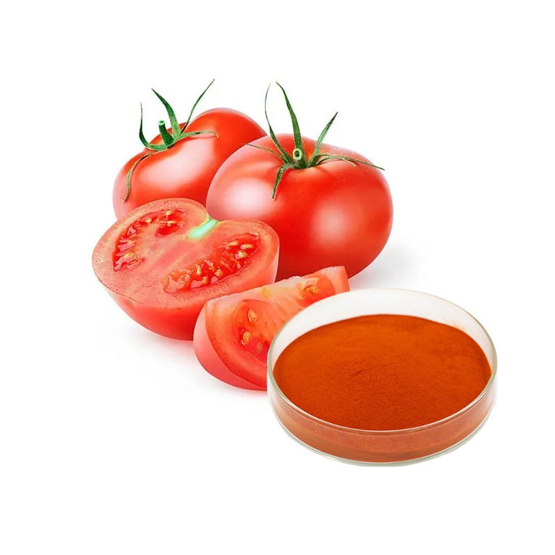 Tomato Powder Supplier - 100% Pure Vegetable Powder Bulk