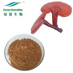 Ganoderma Lucidum Extract Factory - Organic Reishi 40% Polysaccharides