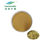 Honeysuckle Extract Supplier - 70% Chlorogenic Acid CAS 327-97-9