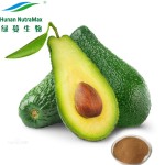Avocado Powder Factory - Spray Dried Fruit Instant Powder