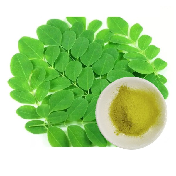 Moringa Powder Supplier - Pure Natural Weight Loss Bulk