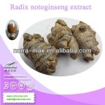 Panax Notoginseng Powder Manufacturer - Tienchi Ginseng Root Powder