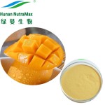 Mango Powder Factory - Spray Drying Flavoring Powder Ready