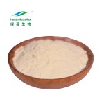 Monk Fruit Extract Manufacturer - Mogroside V 25% Bulk Powder