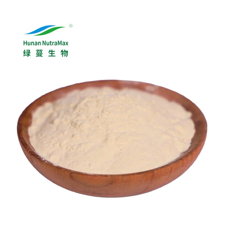 Monk Fruit Extract Manufacturer - Mogroside V 25% Bulk Powder