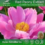 White Peony Root Extract Supplier - 50% Paeoniflorin Powder