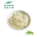 Pea Protein Powder Factory - Vegan Unflavored 1kg-25kg