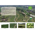 Monk Fruit Extract Supplier - 50% MV CGMP Manufacturer Supply