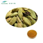 Cardamon Powder Supplier - Green Plant Extract Bulk