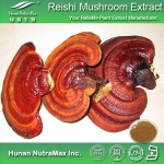 Ganoderma Lucidum Extract Manufacturer - 1kg Reishi Mushroom Powder