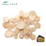 Paeonia Root Extract Supplier - Albiflora Root P.E. Powder