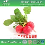 Radish Red Powder Manufacturer - Natural Food Coloring Pigment