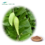 Gymnema Sylvestre Extract Factory - Plant Herbal Leaf Extract