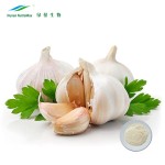 Garlic Extract Supplier - 1%-5% Allicin Deodorized Health Care