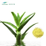 Aloe Vera Powder Factory - Cosmetics Ingredients Natural Extract