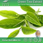 Green Tea Extract Powder Supplier - 20%-30% L-Theamine CAS 3081-61-6