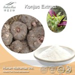 Konjac Glucomannan Powder Factory - Amorphophallus Root Powder