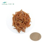 Red Ginseng Extract Supplier - Ginsenosides Powder Natural