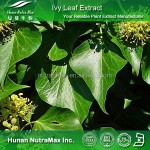 Ivy Extract Powder Factory - 100% Pure 4:1-20:1 Natural