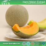Cantaloupe Powder Supplier - Melon Extract Food Beverage