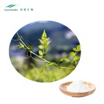 Vine Tea Extract Factory - 98% Myricetin Dihydromyricetin