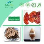 Reishi Mushroom Extract Supplier - 10%-40% Polysaccharides Triterpenoids