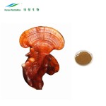 Ganoderma Lucidum Extract Manufacturer - 1kg Reishi Mushroom Powder