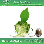 Green Tea Extract Powder Supplier - Organic Polyphenols Free Sample