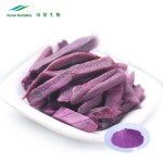 Purple Sweet Potato Powder Supplier - 100% Natural Food Color