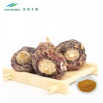 Maca Extract Supplier - Herbal Organic Wholesale Powder