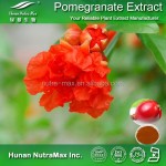 Pomegranate Juice Concentrate Supplier - Brix 65-70 Health Food