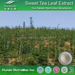 Rubus Leaf Extract Supplier - 70% Rubusosides Chinese Sweet Leaf