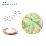 Rubus Leaf Extract Supplier - 70% Rubusosides Chinese Sweet Leaf