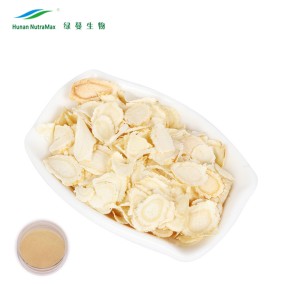 White Ginseng Extract Factory - Ginsenosides 2%-30% High Quality