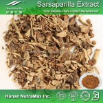 Sarsaparilla Extract Factory - Root P.E. Smilax Officinalis