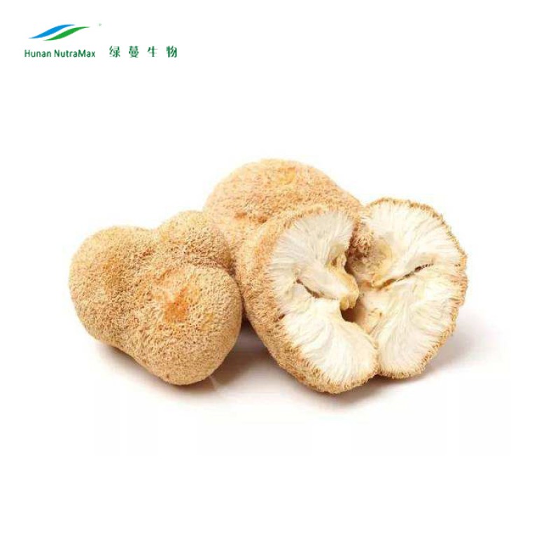 Lions Mane Mushroom Extract Manufacturer - Polysaccharides Dietary Supplements