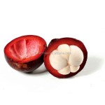 Mangosteen Extract Manufacturer - Mangostin 10%-90% Fruit Powder