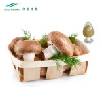 Shiitake Extract Powder Manufacturer - Lentinus Edodes Polysaccharides
